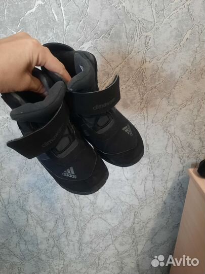 Обувь adidas оригинал