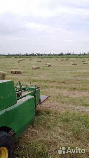 Сено в тюках