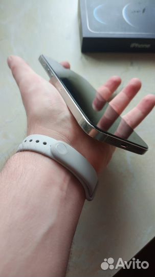 iPhone 12 Pro Max, 256 ГБ