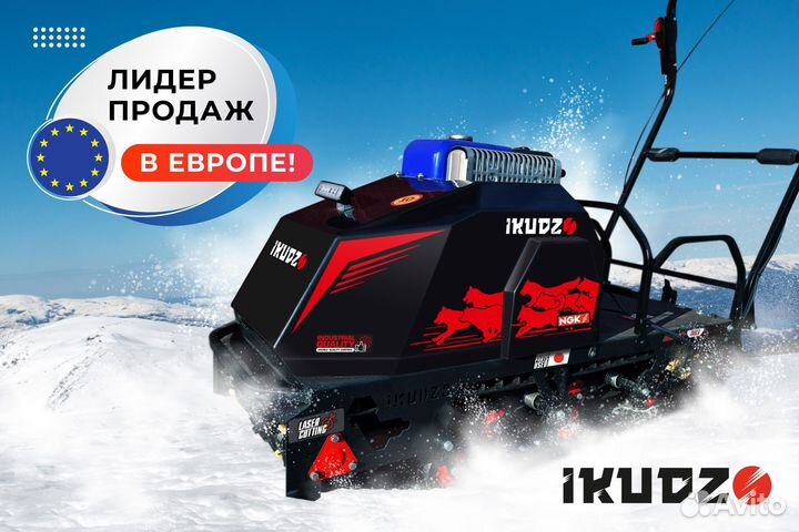 Ikudzo-briggs & stratton 2.0 1450/500 EK15 red