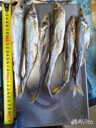 Корюшка вяленная