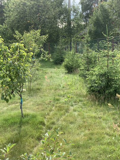 Дом 78 м² на участке 15 сот.