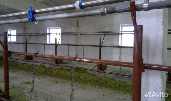 Стойловое содержание и поение крс на 50 голов