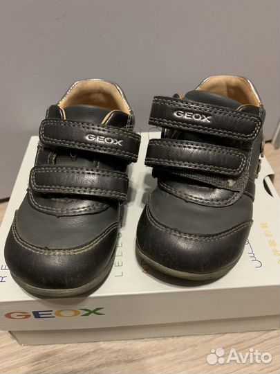 Ботинки кроссовки Geox 21 размер