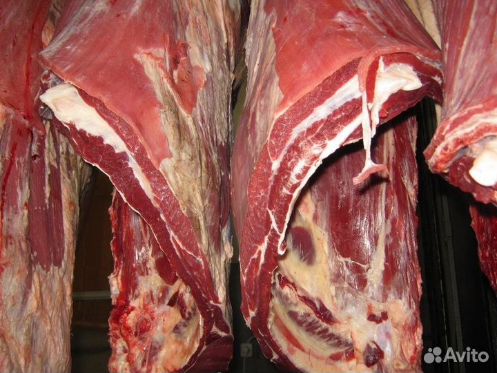 Телятина домашняя. Мясо.Колбасы