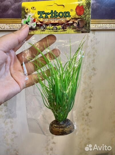 Новое в аквариум украшение