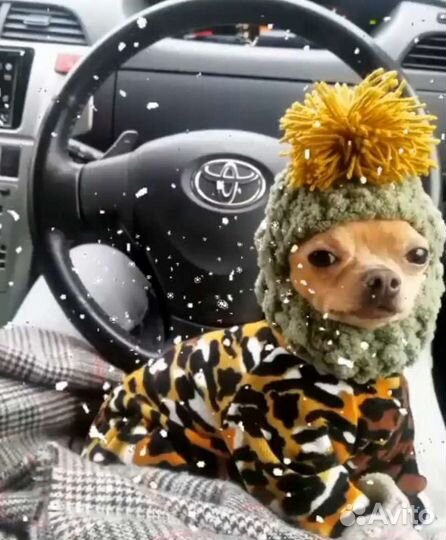 Шапочки шлемы для собак