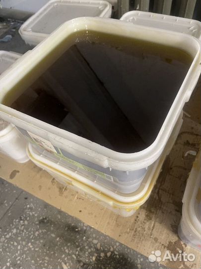 Дягилевый мед свежий оптом