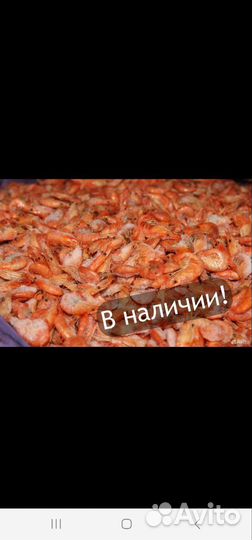 Креветки Азовские сухой заморозки,мелкие 3см