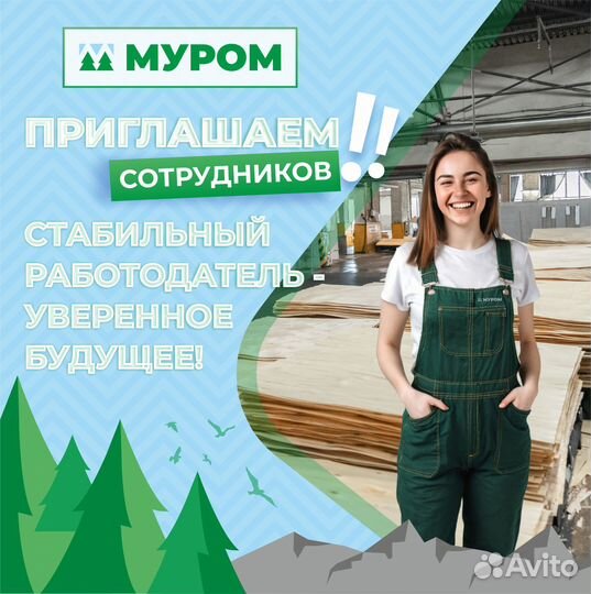 Сборщик (ца) (с обучением)