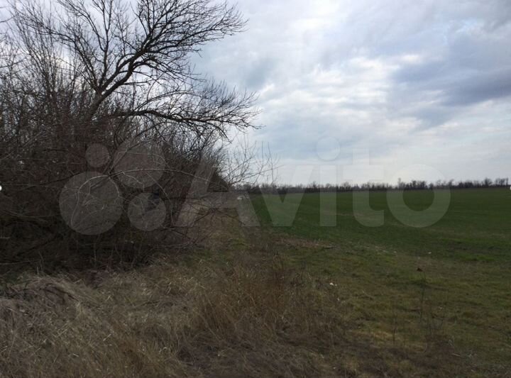 Участок 10 сот. (СНТ, ДНП)