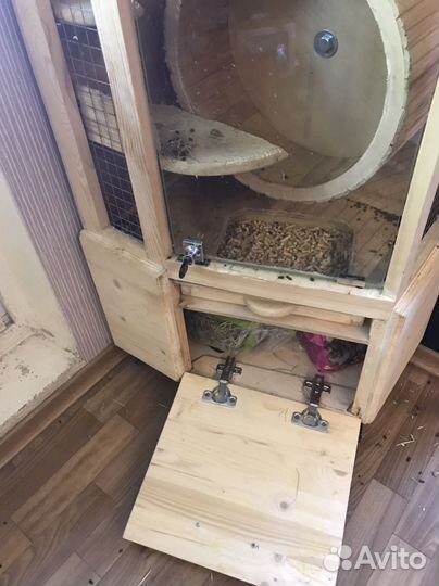 Шиншилла эбони с витриной