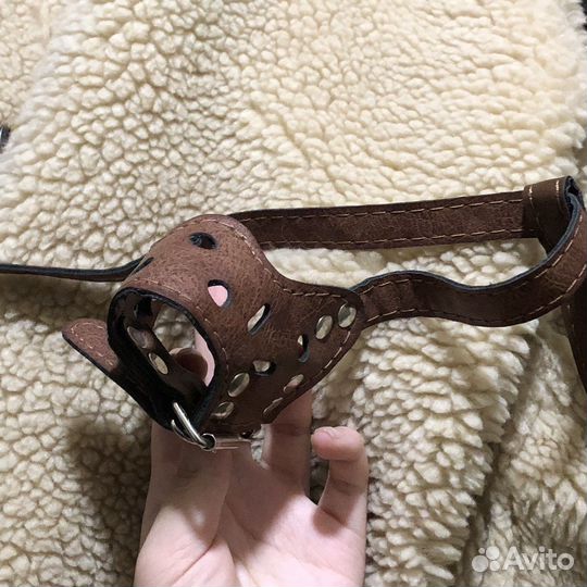 Намордник для собак