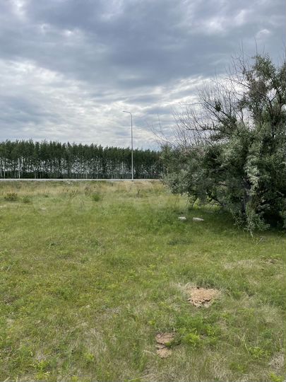 Участок 1,56 га (ИЖС)