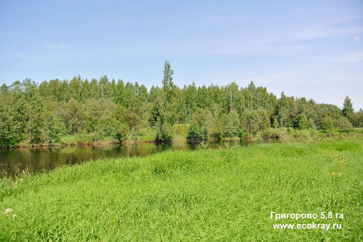 Участок 5,8 га (СНТ, ДНП)