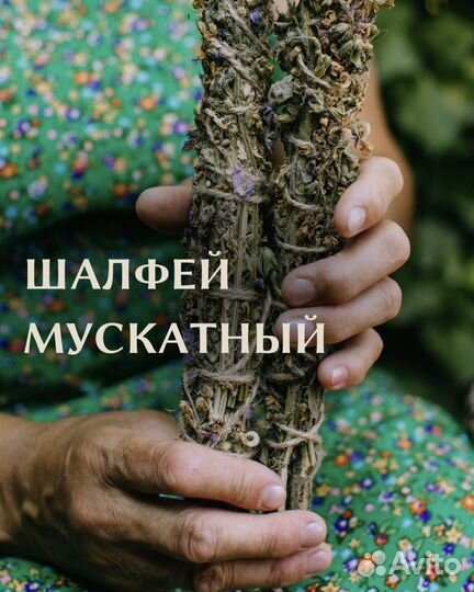 Шалфей. Скрутка. Травы. Окуривание