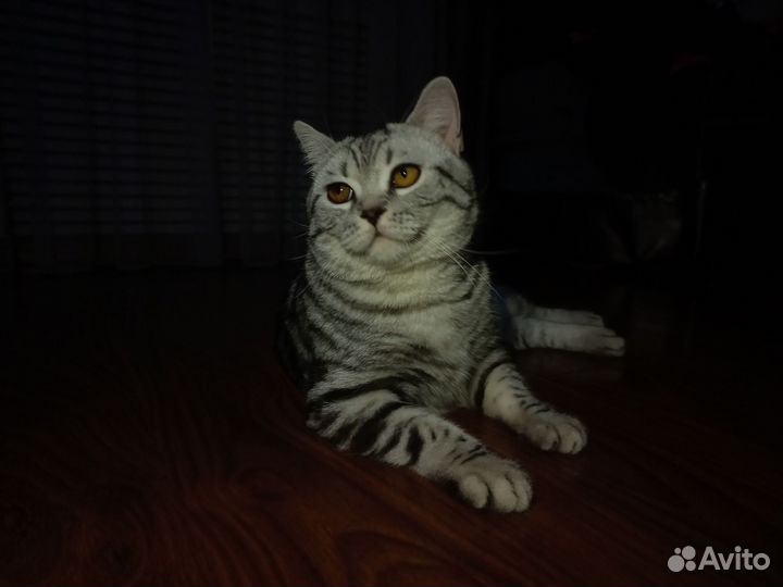 Котик для вязки