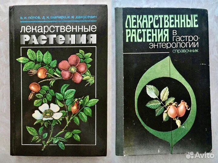 Лекарственные растения Фитотерапия