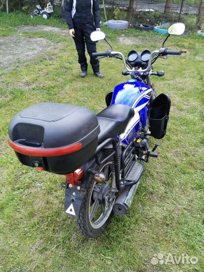 Alpha RX11 Lux
