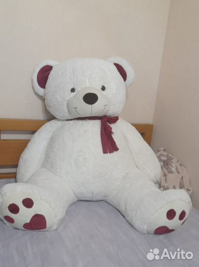 Плюшевый медведь