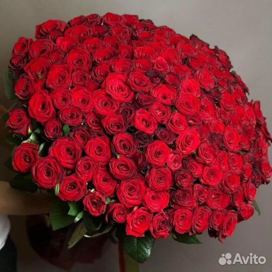 101 роза, красные розы, букет