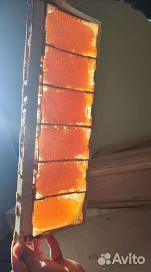 Натуральный мёд в сотах минирамки 2024 года (опт)