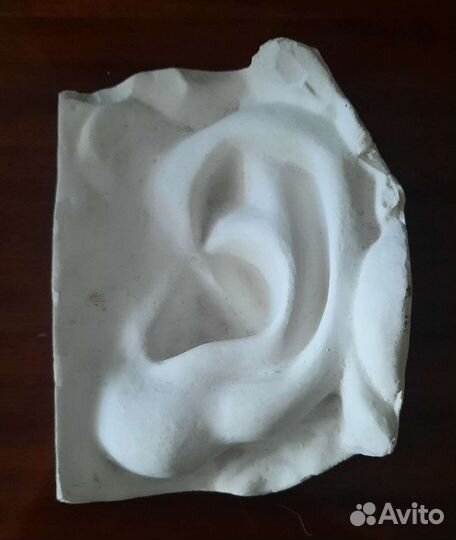 Гипсовый слепок уха