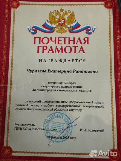 Специалист по работе в фгис Меркурий