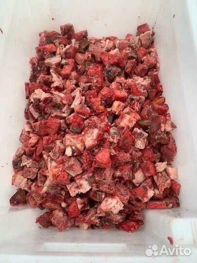 Мясо для собак