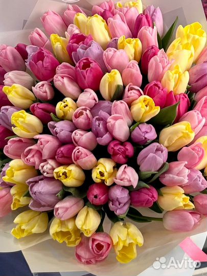 Тюльпаны пионовидные оптом и в розницу