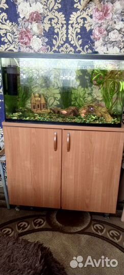 Аквариум