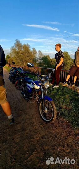 Альфа motolend Rx 11