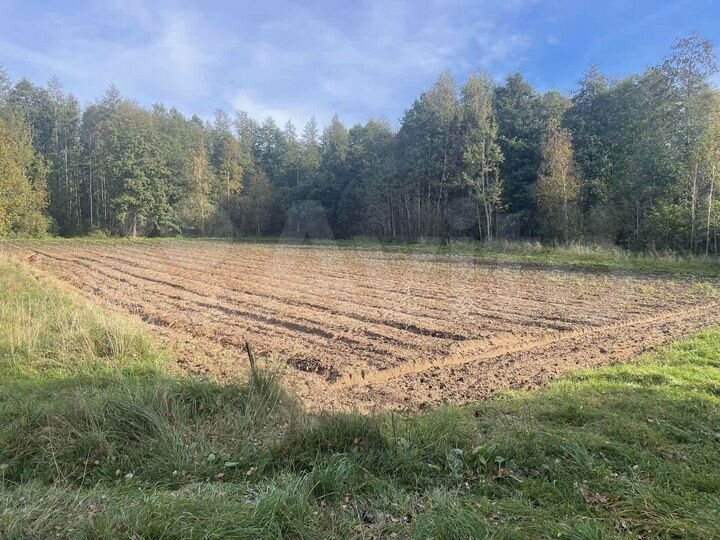 Участок 18,5 сот. (ИЖС)