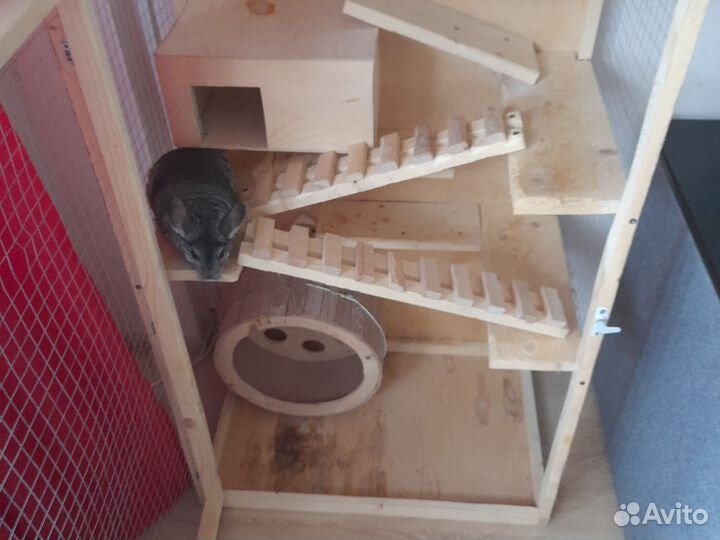 Клетка для шиншиллы бу