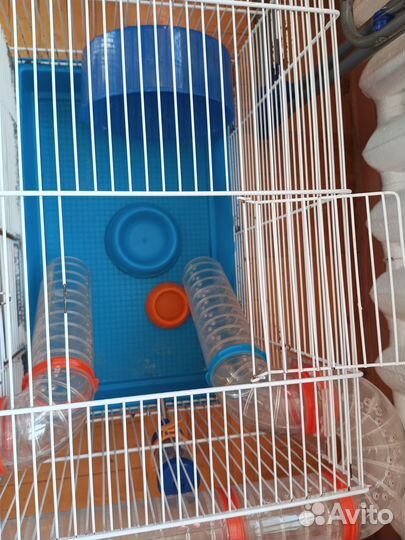 Клетка для хомяка бу