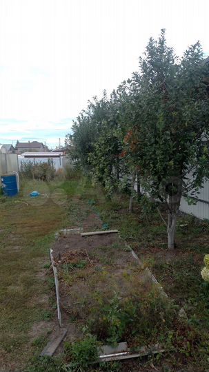 Участок 6 сот. (ИЖС)