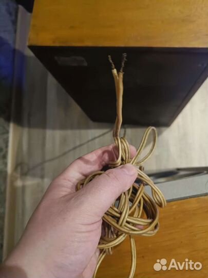 Колонки Вега 25 ас-109