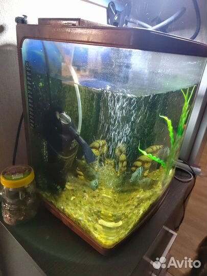 Аквариум