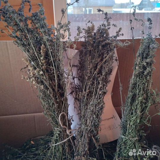 Травяные веники для парной бани. Чайные травы