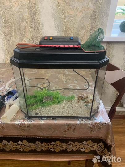 Аквариум
