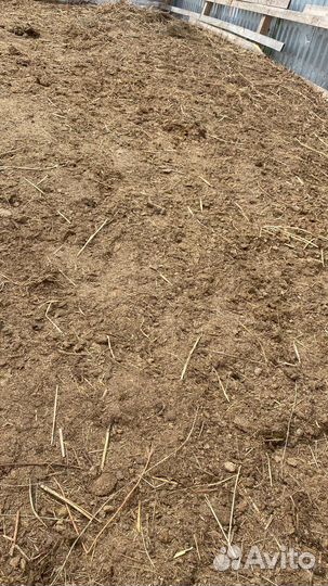 Конский навоз