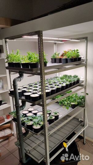 Предложение услуг