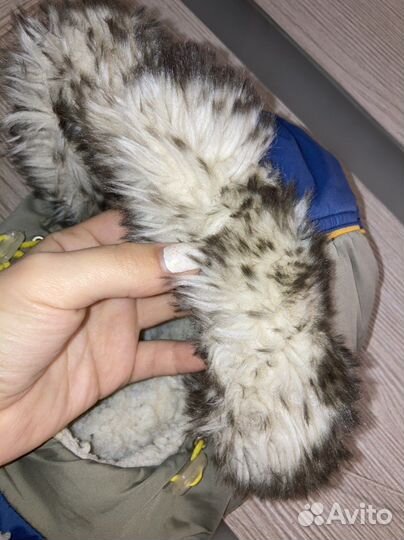 Зимний костюм