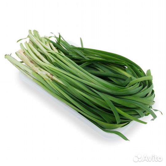 Джусай (душистый лук)