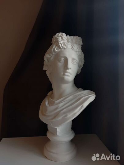 Гипсовая голова Аполлон бюст