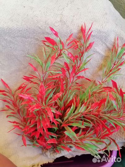 Домики для аквариума, нагреватель