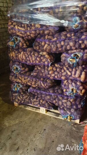 Достовка овощей и фруктов оптом