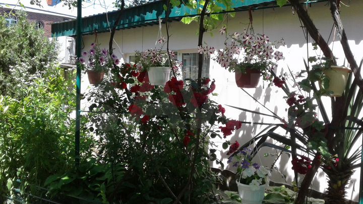 Комната 18 м² в 3-к., 1/1 эт.