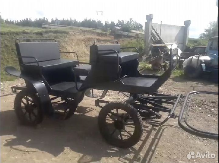 Фаэтон, карета, сани для лошадей и пони