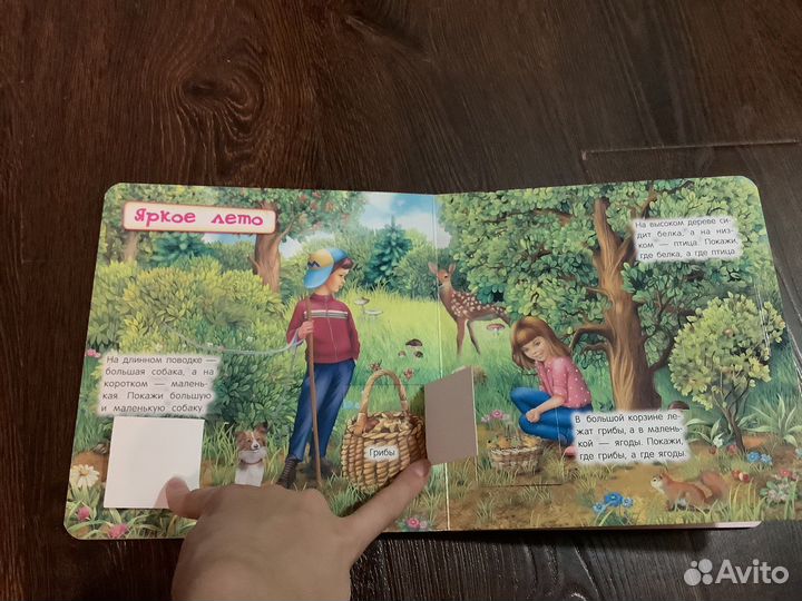 Книги виммельбух развиваем логику (с окошками)